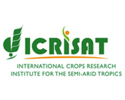 Logo d'ICRISAT